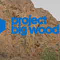 Project Big Wood